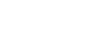 dianisa logo preview