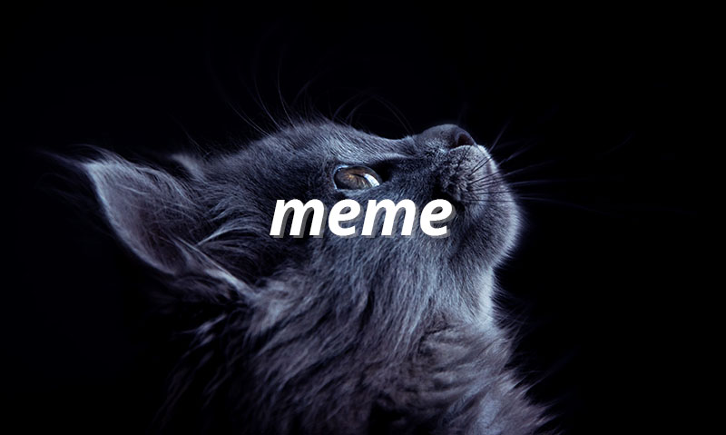 Membuat Meme di HP