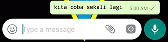 Mengubah Font WhatsApp