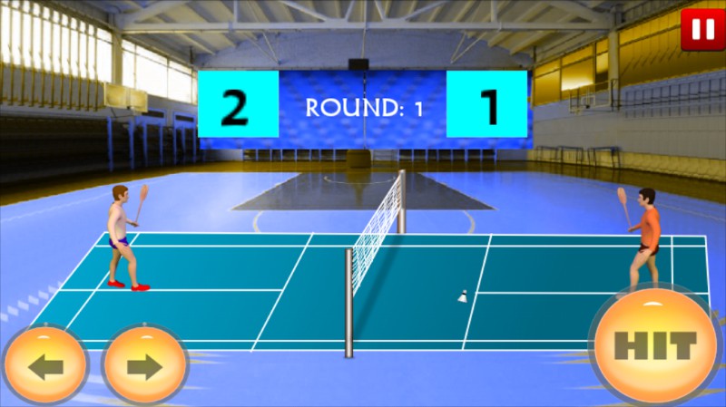 Badminton Indoor