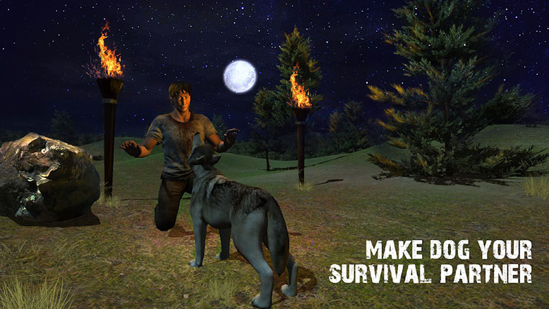 Survival Island