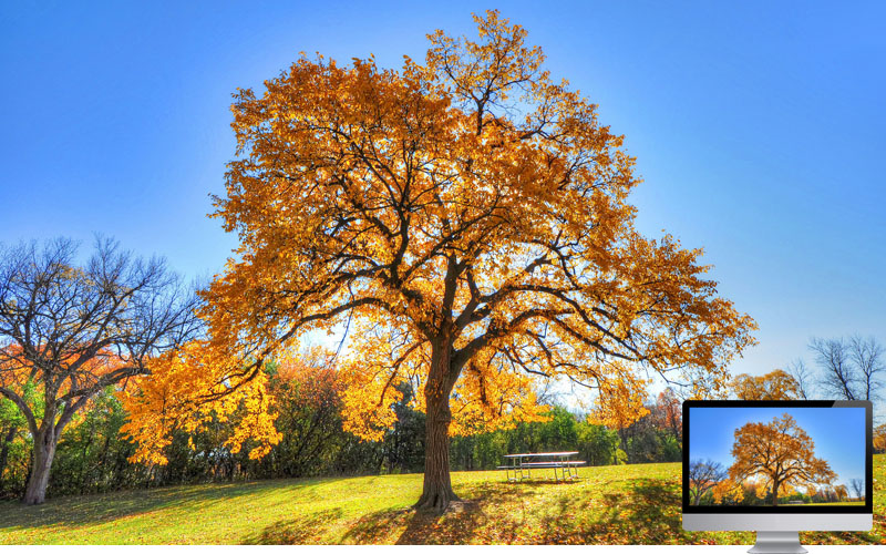 #11 Wallpaper Musim Gugur