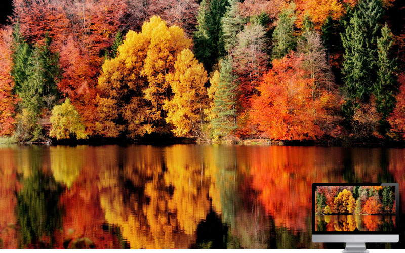 #15 Wallpaper Musim Gugur