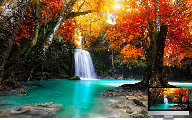 #26 Wallpaper Musim Gugur