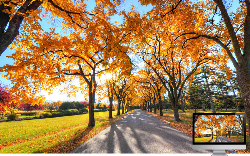 #6 Wallpaper Musim Gugur