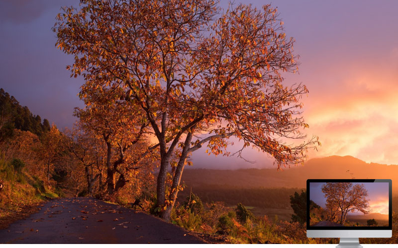 #9 Wallpaper Musim Gugur