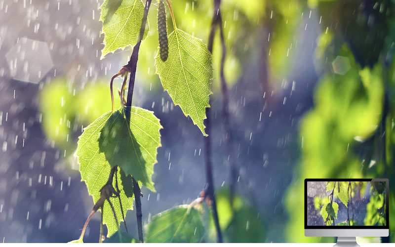 #17. Wallpaper Musim Hujan