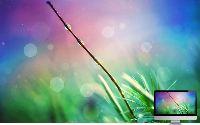 #9. Wallpaper Musim Hujan