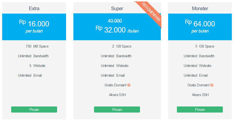 Paket Hosting Murah Domainesia