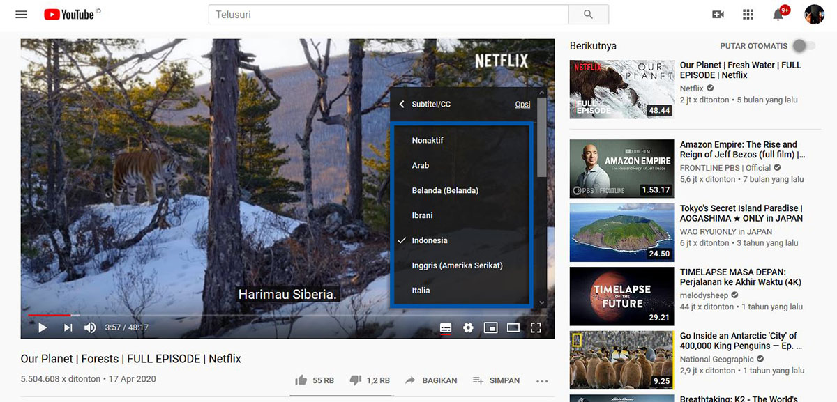Subtitle YouTube