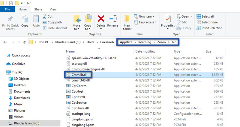Copy Paste File Zoom