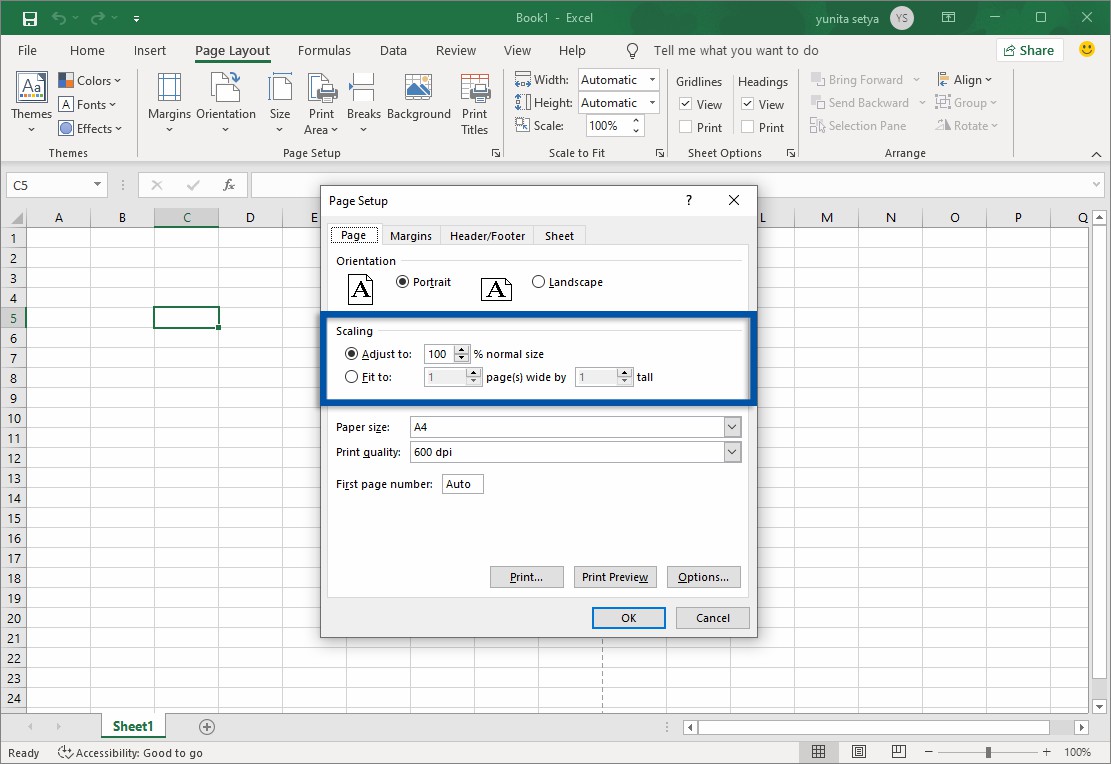 2 Atur ukuran kertas Microsoft Excel