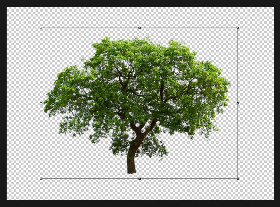 Flip Horizontal dan Flip Vertical