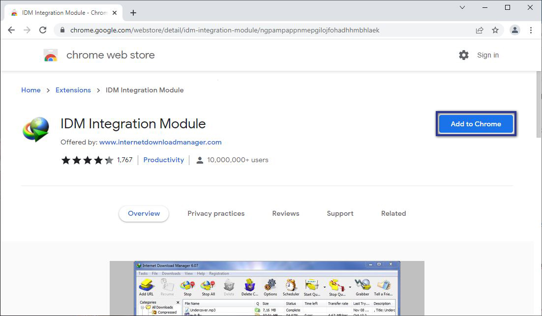 IDM Integration Module Google Web Store