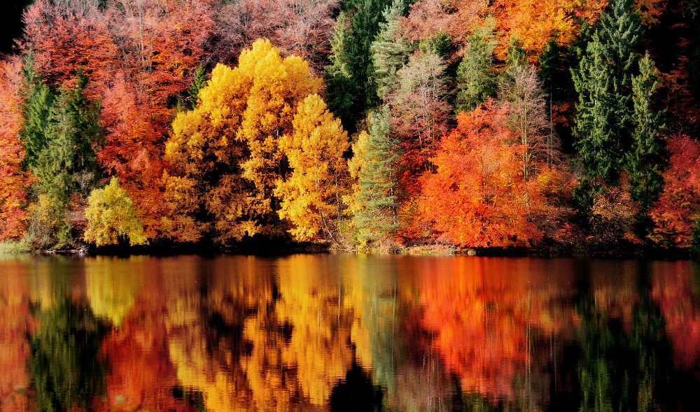 11. Spring HD Nature Wallpaper