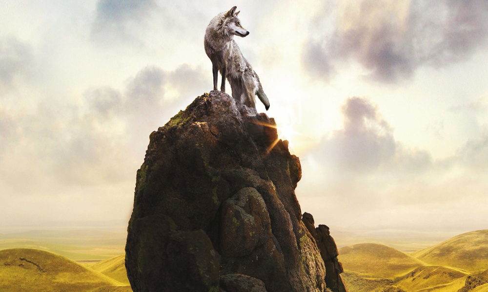 4. Serigala Desktop Background HD