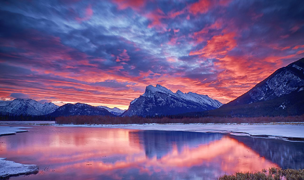 8. Winter Nature HD Wallpaper