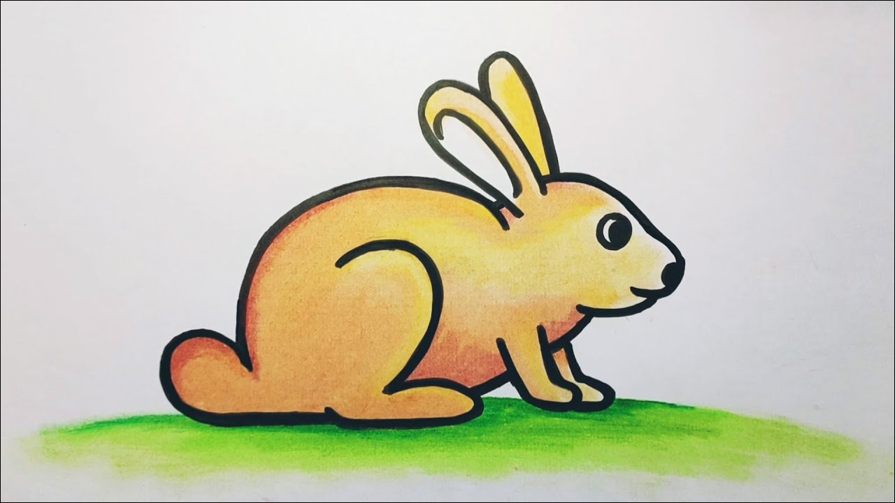 1 Kelinci coklat duduk di atas rumput