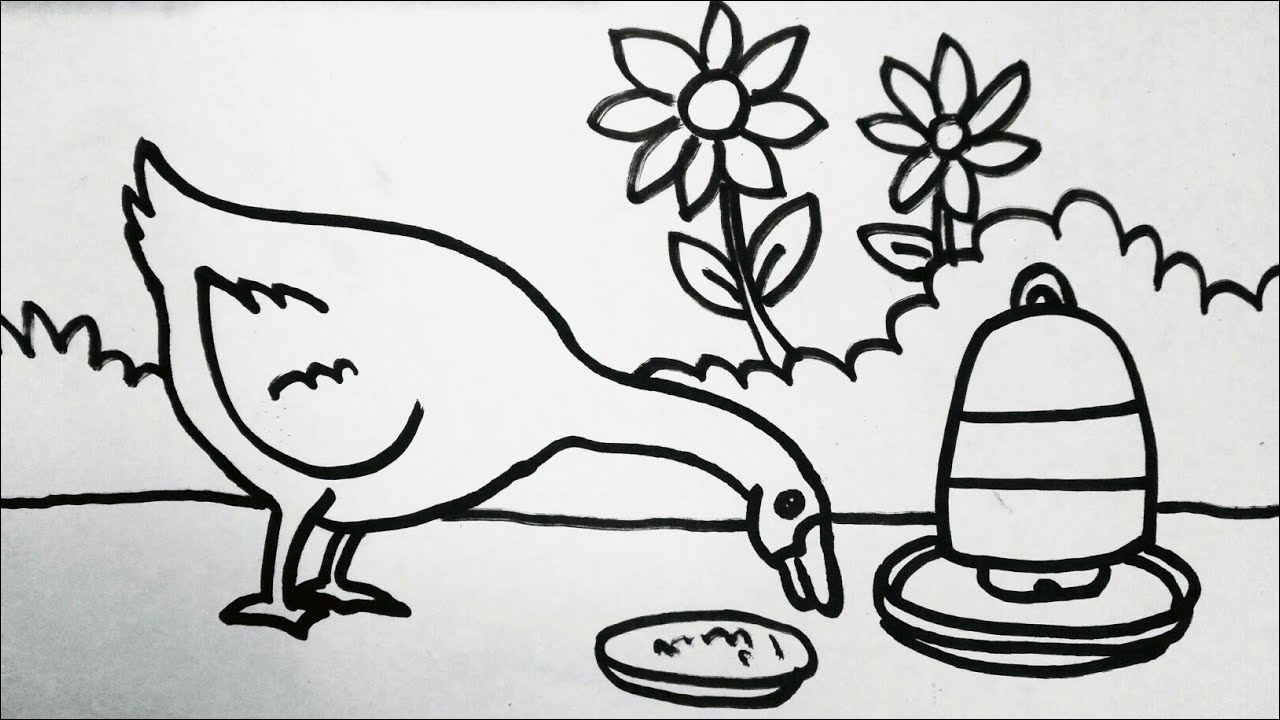 17 Flora dan Fauna, seekor bebek di pekarangan sedang makan