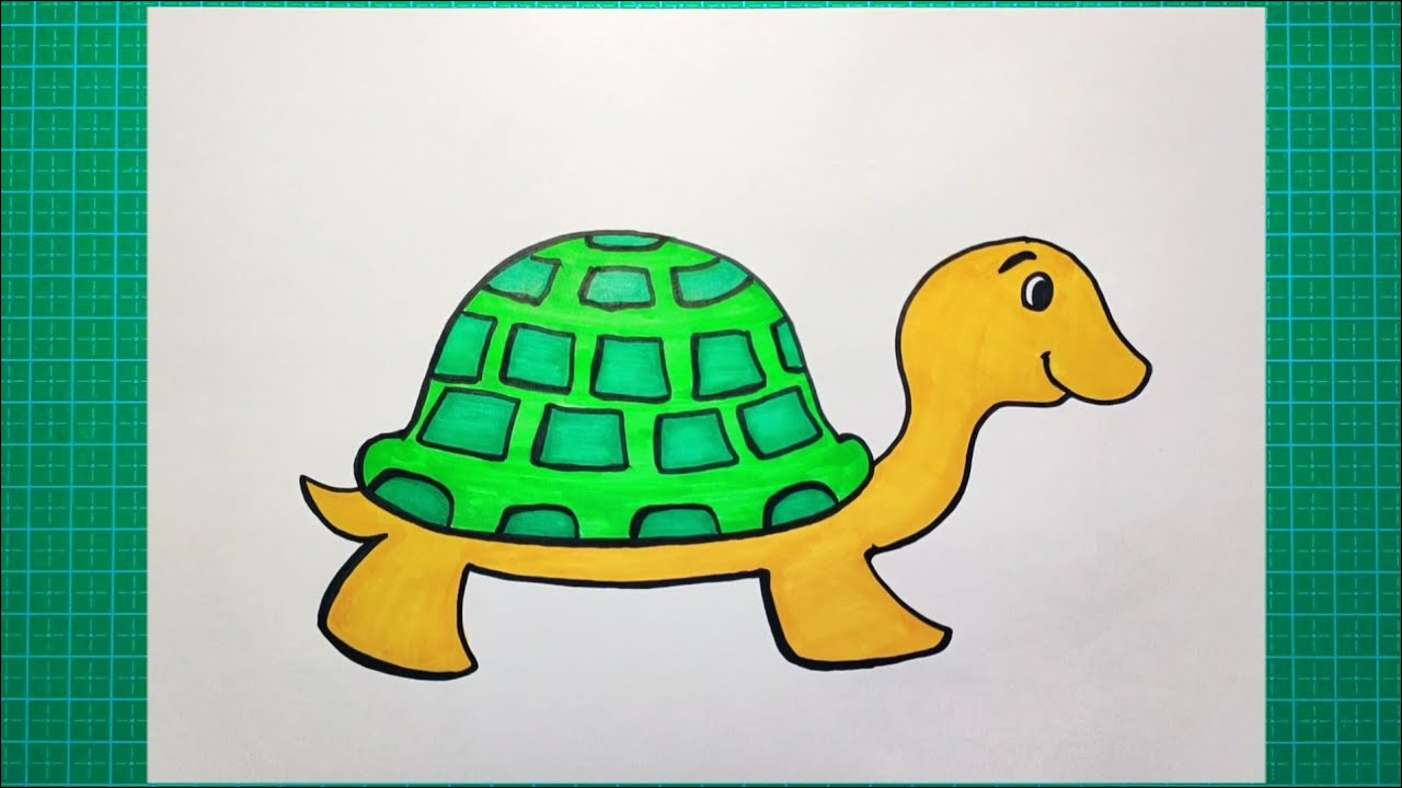 6 Kura-kura imut dan lucu berwarna hijau