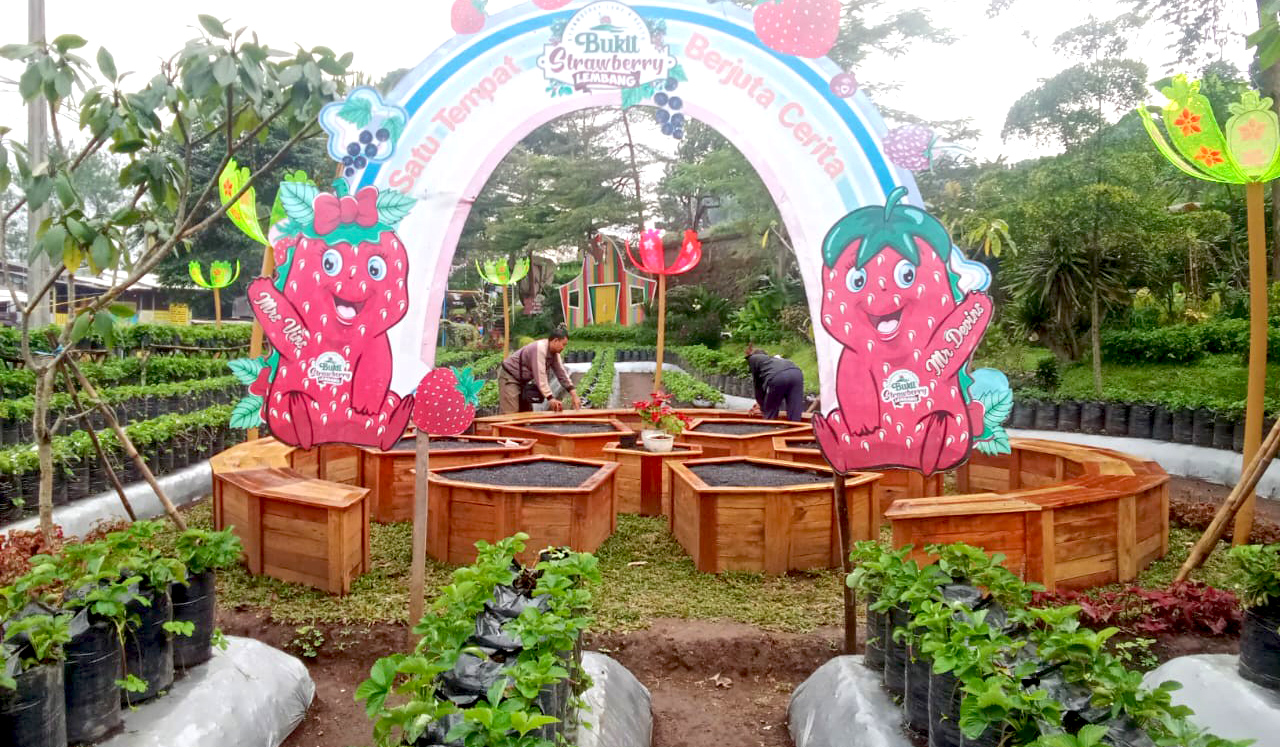 10+ Rekomendasi Tempat Wisata Petik Strawberry Di Bandung