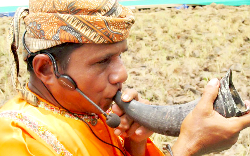 Pupuik Tanduak