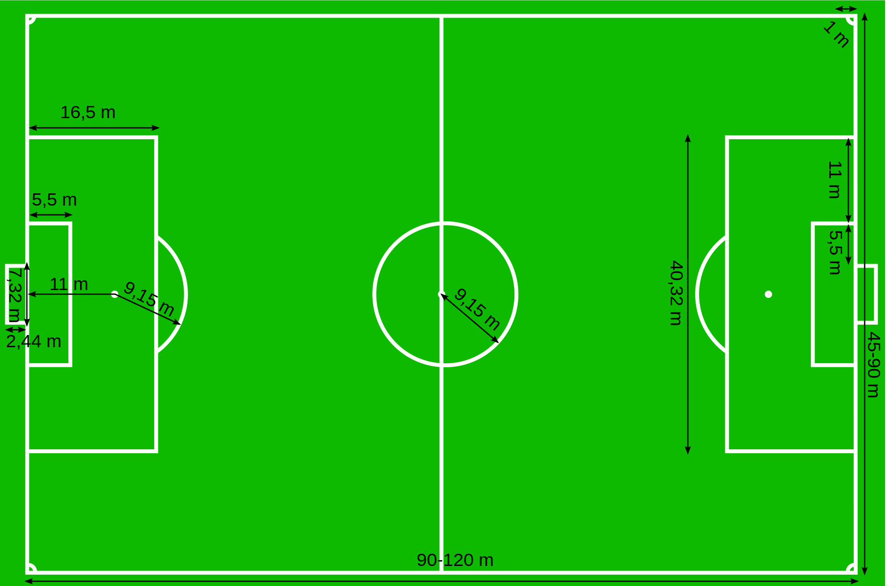 Standar Lapangan Sepak Bola Nasional