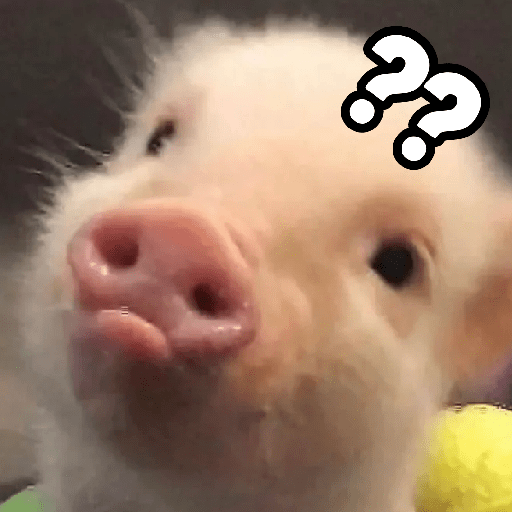 Stiker Babi Berbagai Ekspresi 1