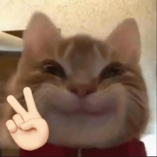 Stiker Ekspresi Kucing 1