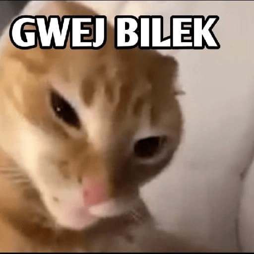 Stiker Ekspresi Kucing 2