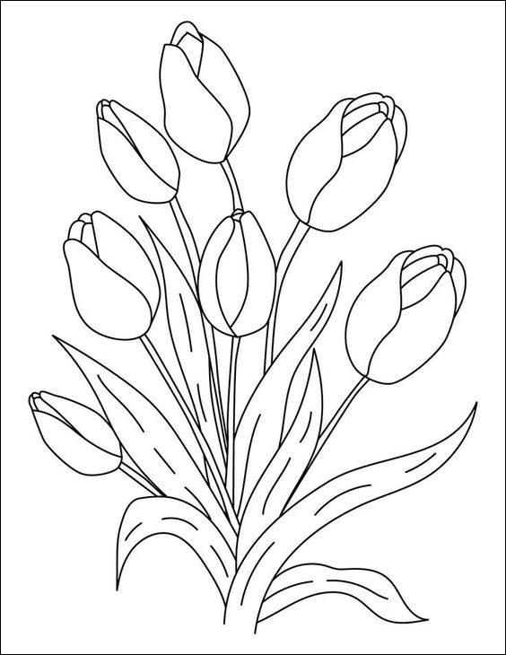 6 Serumpun bunga tulip yang indah