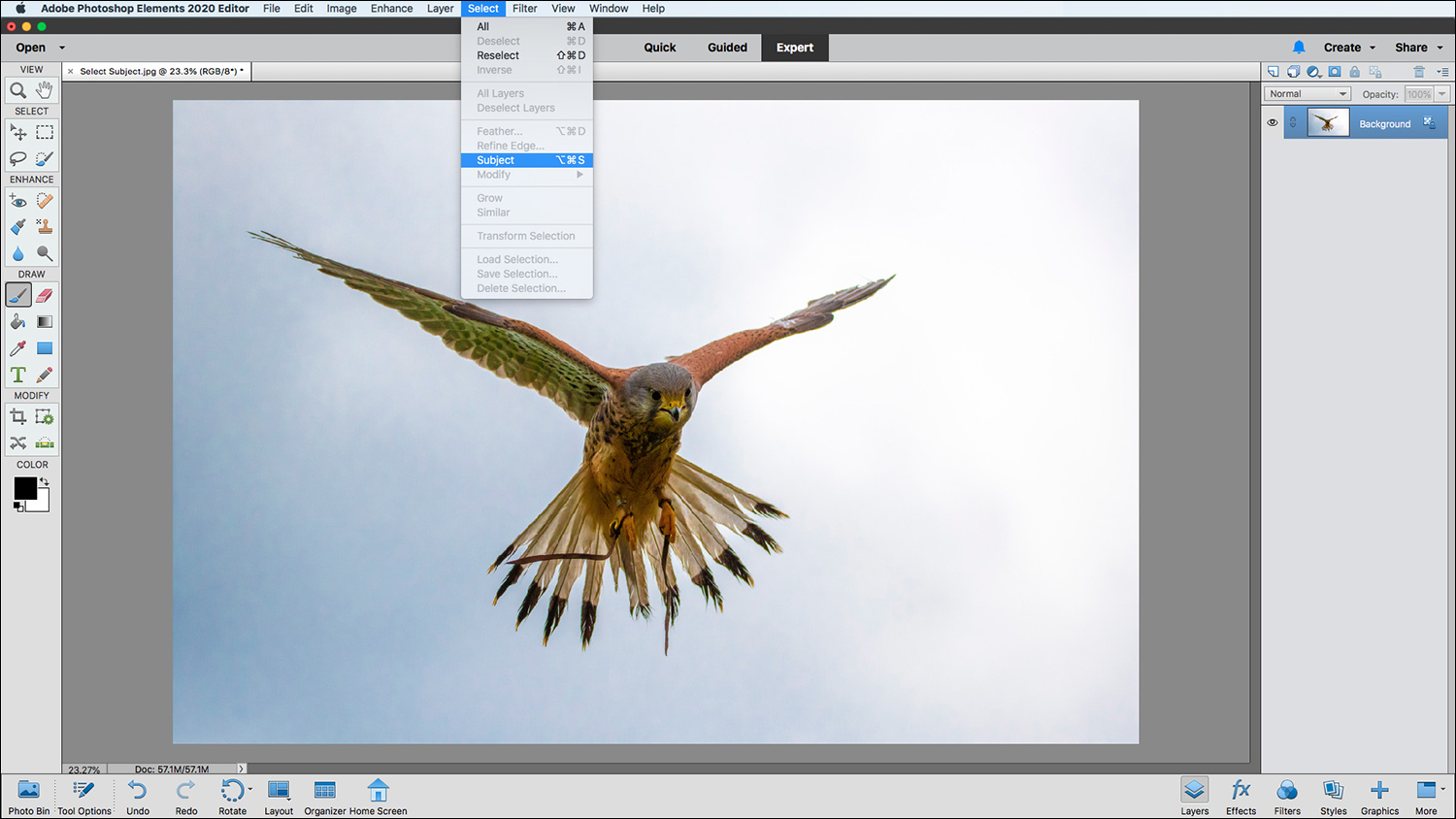 how to download photoshop elements 2020