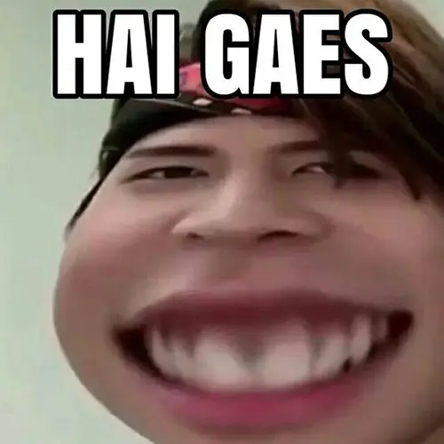 Gambar 09. PP WA Meme hi gaes