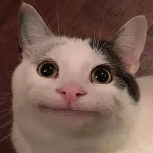 Gambar 11. PP WA Kucing Gokil tersenyum