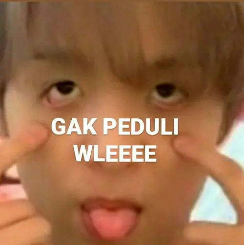 Gambar 11. PP WA Meme gak peduli