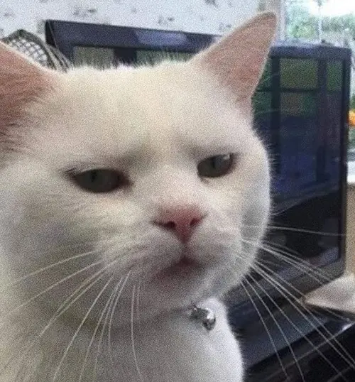 Gambar 17. PP WA Kucing Gokil lazy