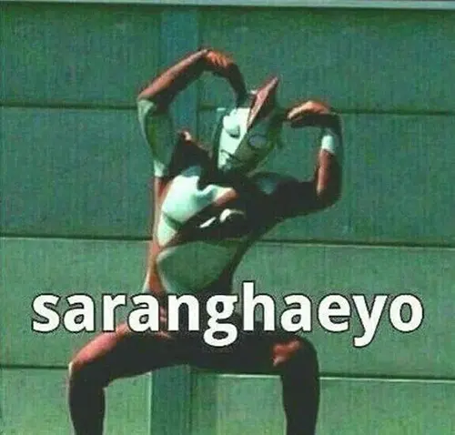 Gambar 19. PP WA Meme saranghaeyo