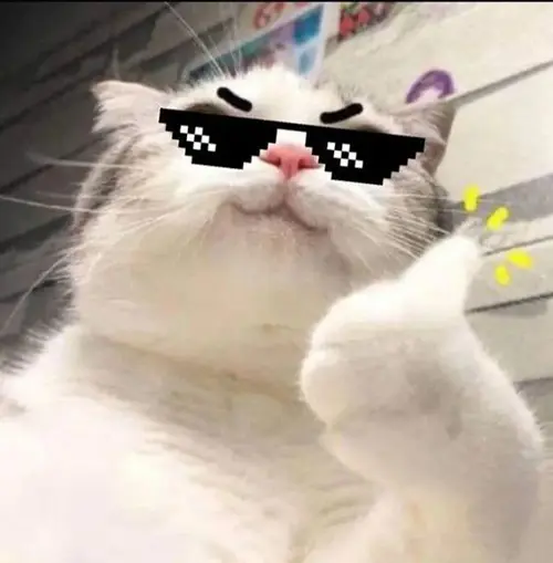 Gambar 23. PP WA Kucing Gokil lucu