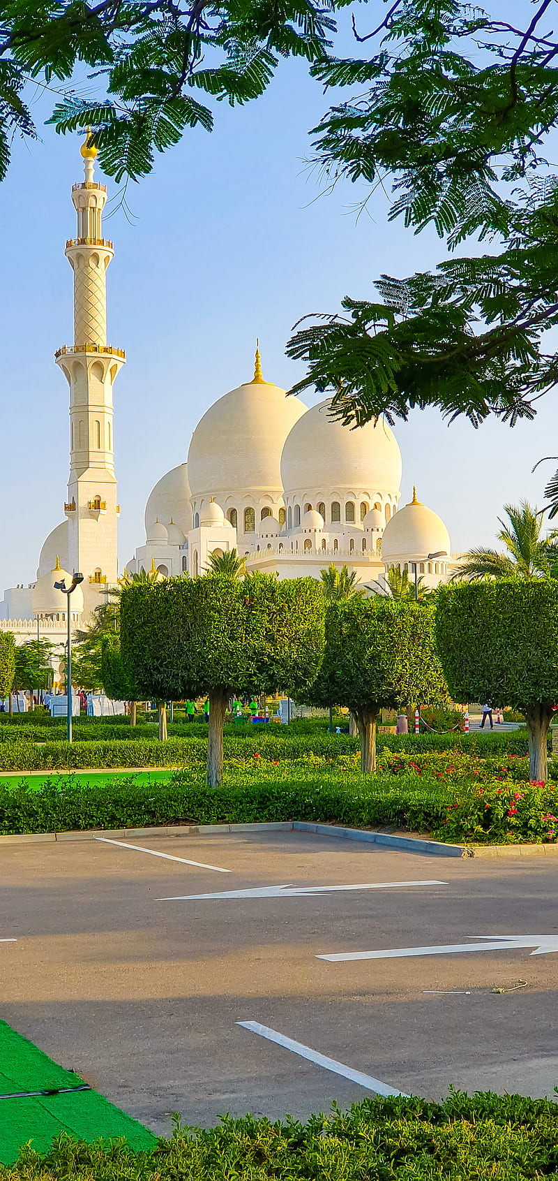 Gambar 12. mosque abudhabi
