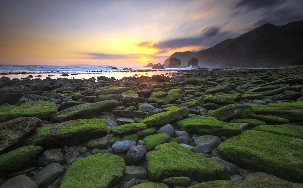 Wisata Jember - Tanjung Papuma